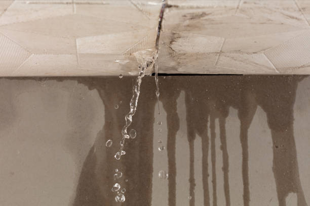 Professional Burst Pipe Cleanup technician working in Rockwood, VA